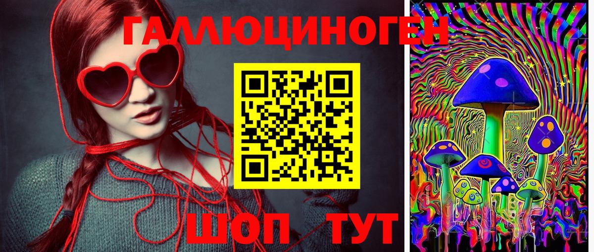 Псилоцибиновые грибы MAGIC MUSHROOMS  Вход с VPN  Шелехов 