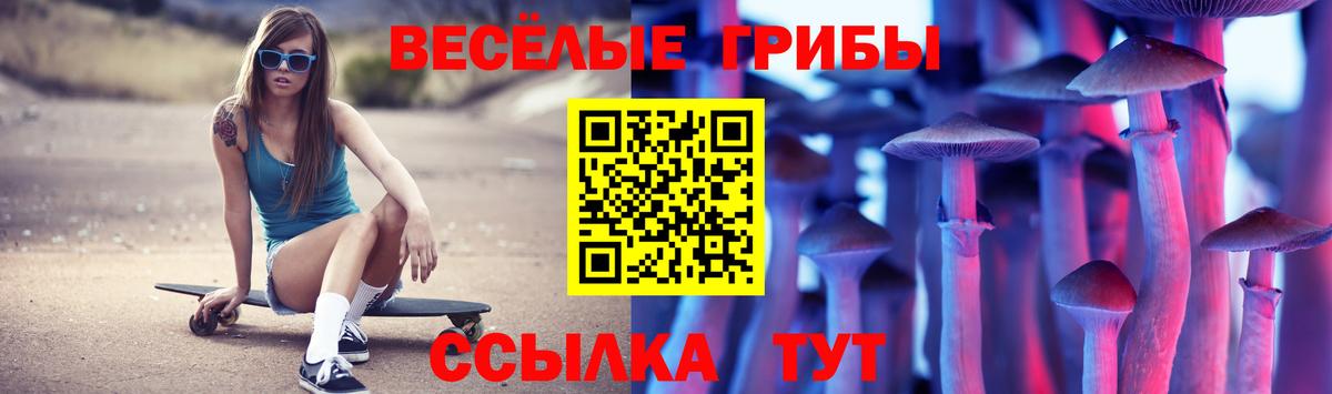 Псилоцибиновые грибы Psilocybe Шелехов